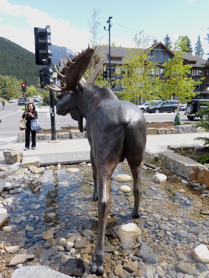 Bull Moose Bronze Statue Tom Hjorleifson 1248